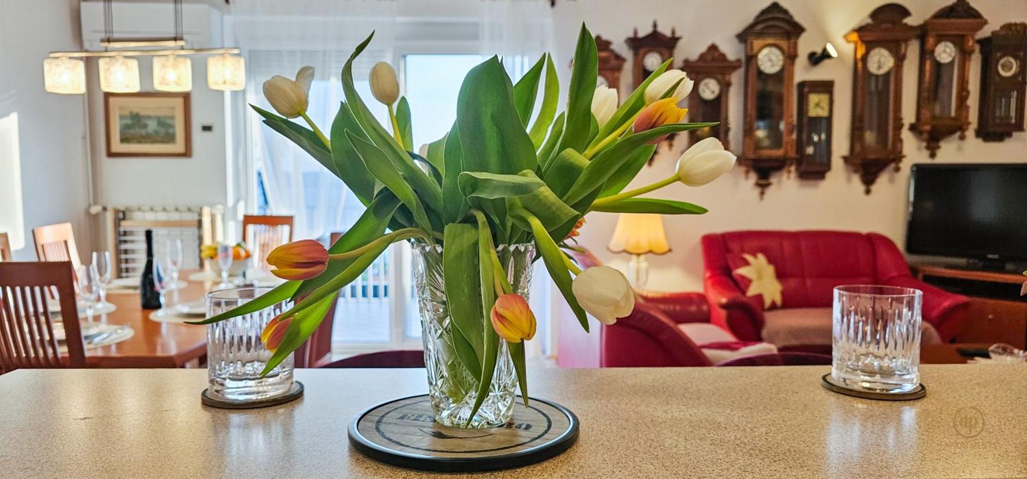 Aria Superior Apartment, Seaview & Wellness Portorož Zewnętrze zdjęcie